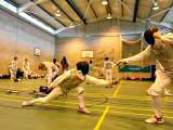  Surrey Foil